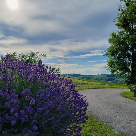 Unterbrandlberg Daire Steinbach an der Steyr Dış mekan fotoğraf