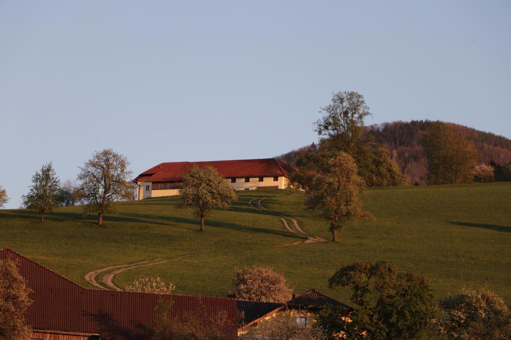 Unterbrandlberg Daire Steinbach an der Steyr Dış mekan fotoğraf