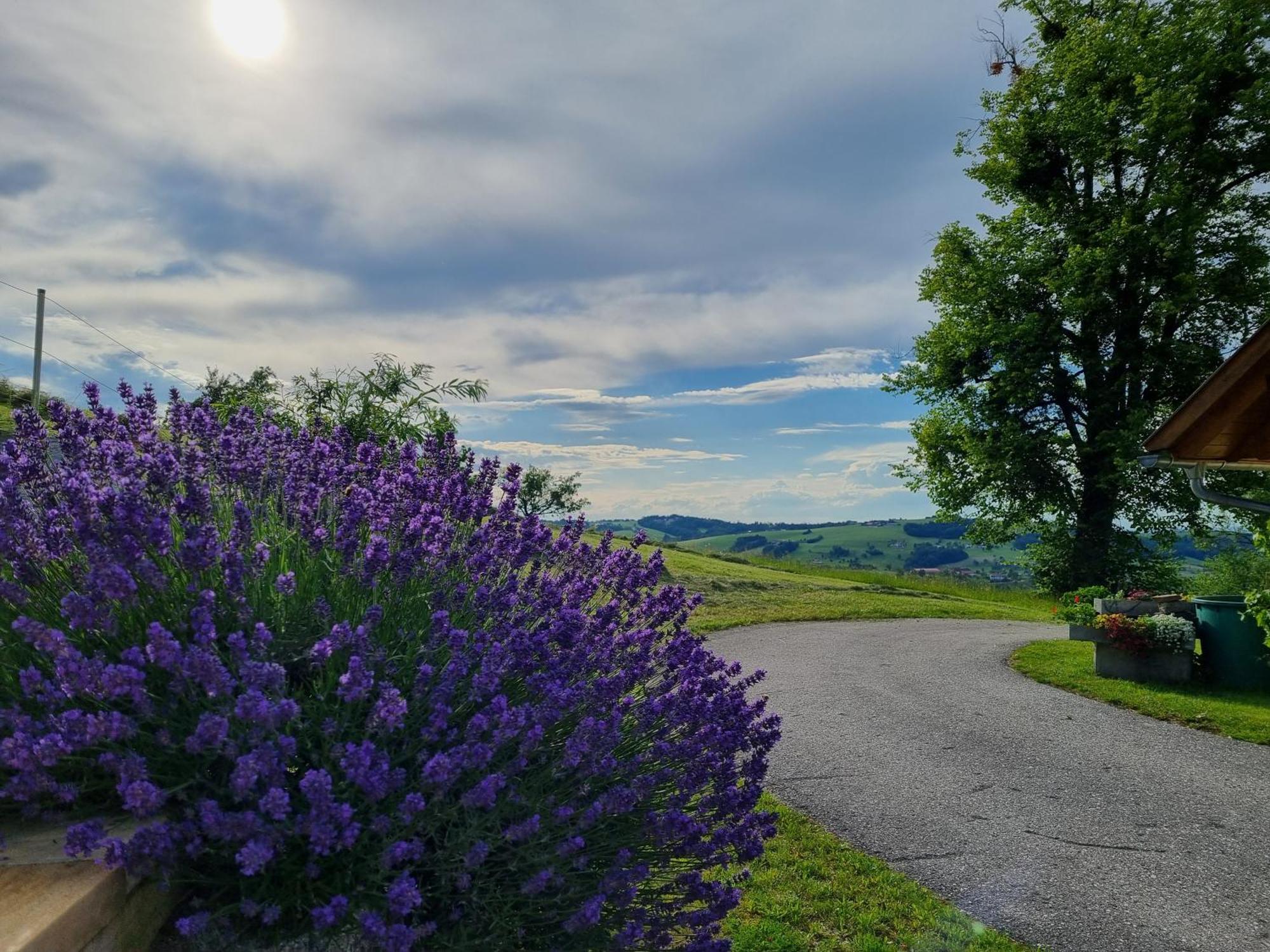 Unterbrandlberg Daire Steinbach an der Steyr Dış mekan fotoğraf